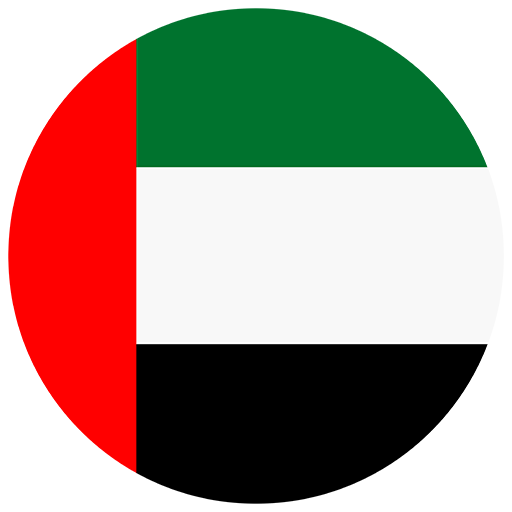 UAE flag